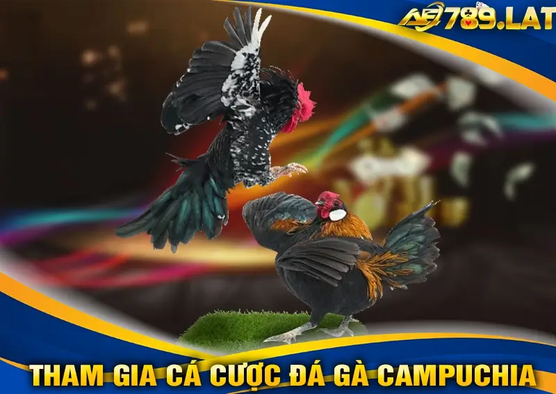 Cách Tham Gia Cá Cược Đá Gà Campuchia Trên AE789