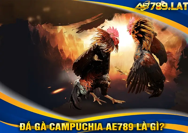 Đá Gà Campuchia AE789 Là Gì